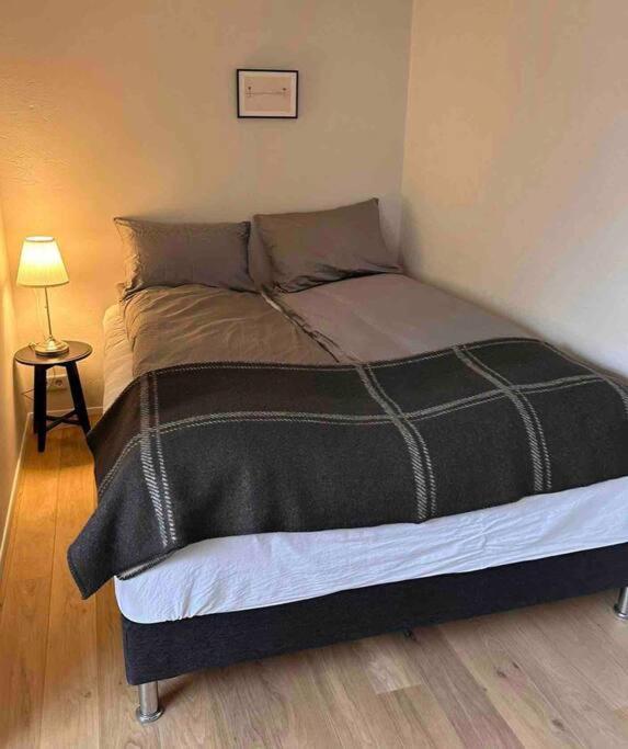 Studio Apartment Reykjavik City Center Extérieur photo
