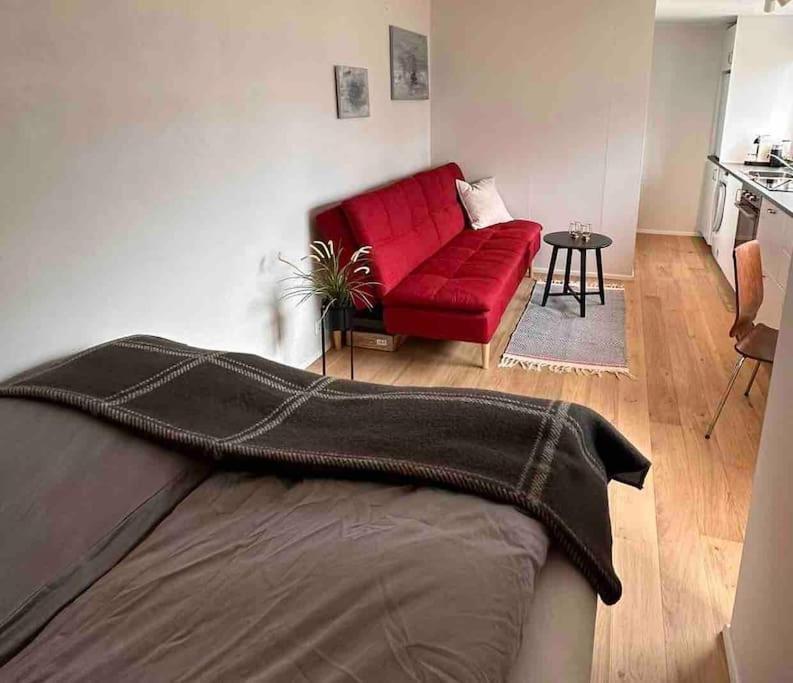 Studio Apartment Reykjavik City Center Extérieur photo