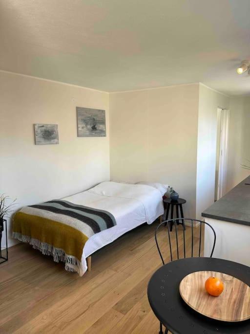 Studio Apartment Reykjavik City Center Extérieur photo