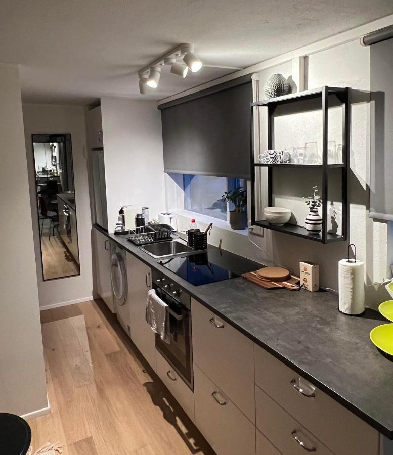 Studio Apartment Reykjavik City Center Extérieur photo